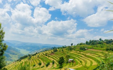 Iterambere ni ryose ku bwa Green Gicumbi